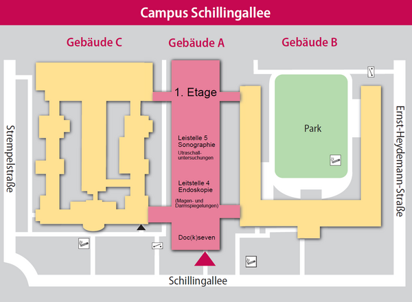 Sonographie