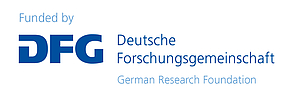 DFG Logo International