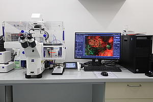 Foto Zellen im Mikroskop