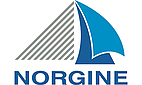 Blau-graues Logo mit Schriftzug 'NORGINE'